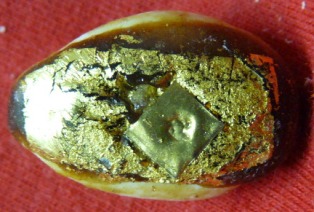 เบี้ยแก้ พระอาจารย์ประสูติ วัดในเตา