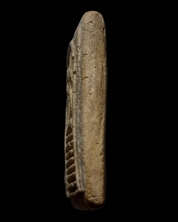 พระสมเด็จเกศไชโย พิมพ์ 7 ชั้นไหล่ตรง 