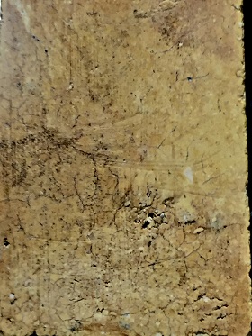 พระสมเด็จหลวงปู่นาค วัดระฆัง พิมพ์เศียรโต