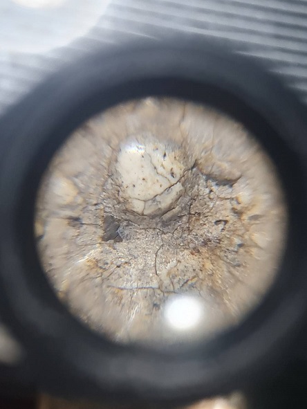 สมเด็จบางขุนพรหม พิมพ์ยืนประทานพร