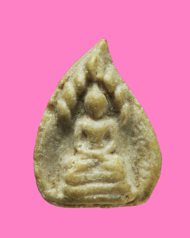 พระนาคปรก ใบโพธิ์ เจ้าคุณนรฯ ออกวัดวิเวกฯ